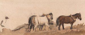 Chevaux de labour
